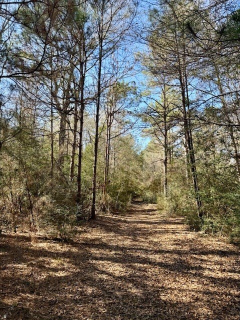 Picture 12
