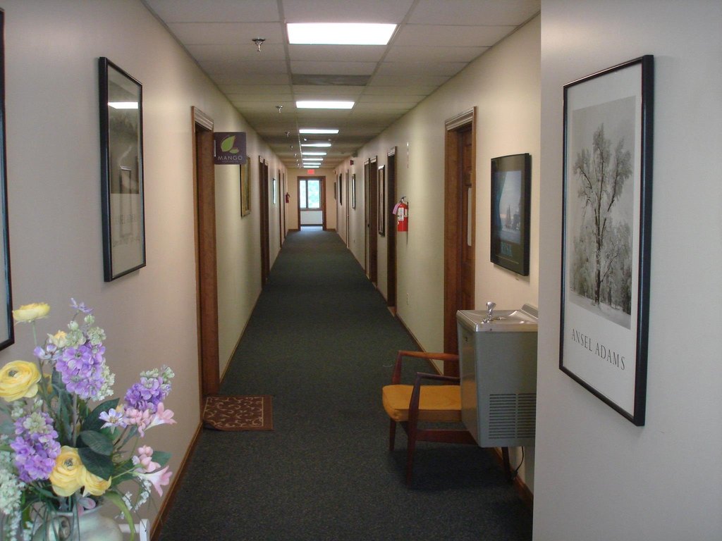 Picture 8