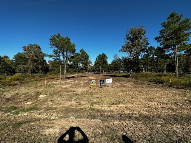 Picture 2