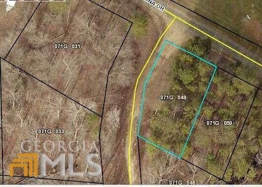 Land in Martin, Georgia