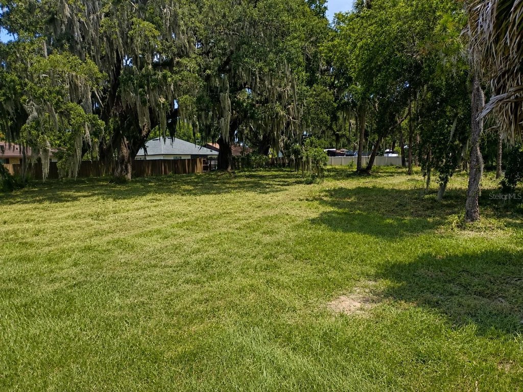 Picture 3
