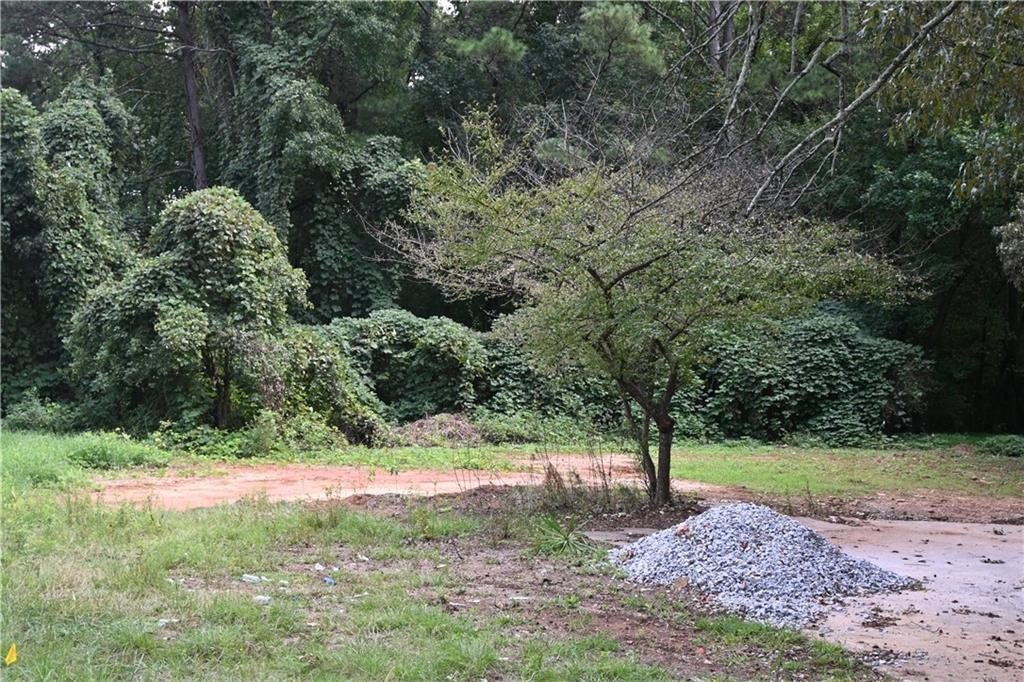 Picture 15