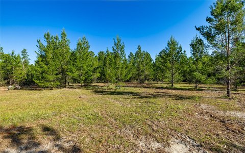 Land, YOUNGSTOWN, FL