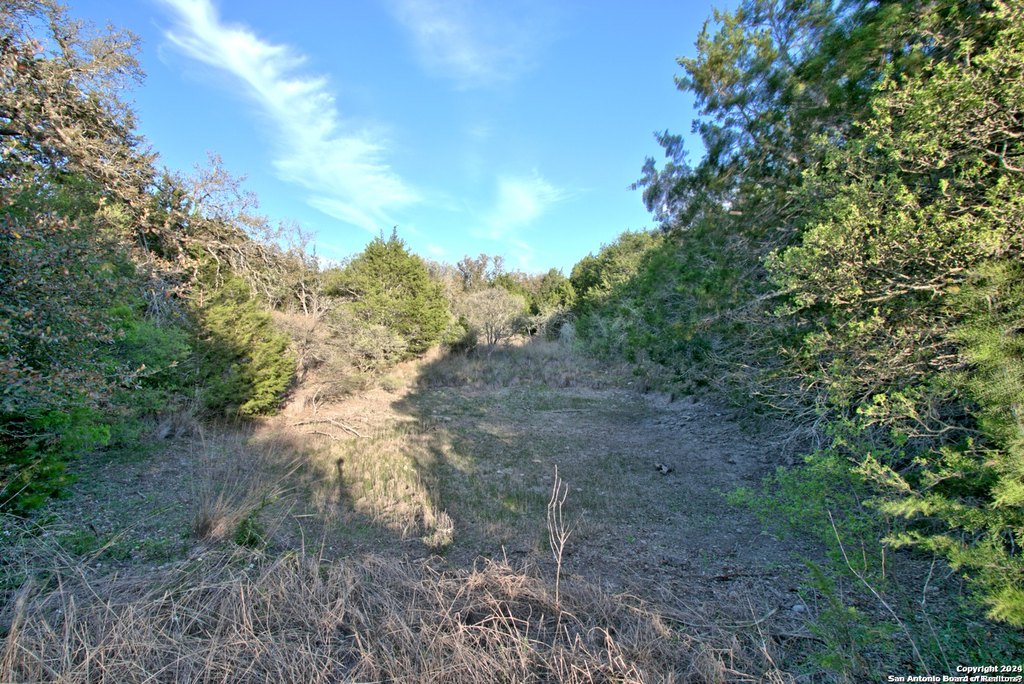 Picture 7