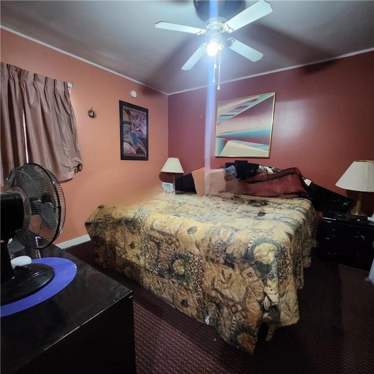 Picture 20