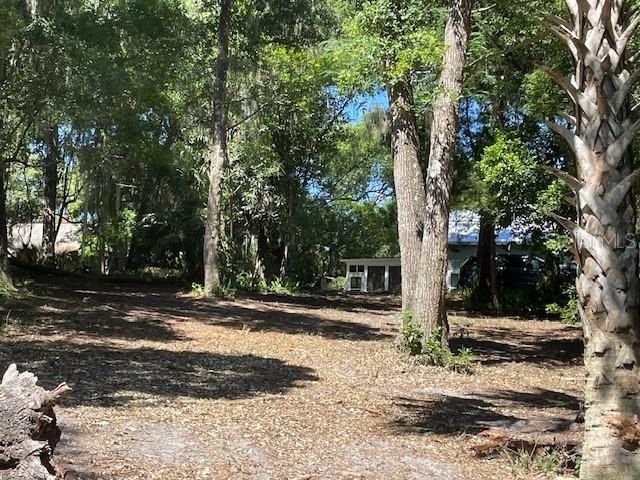 Picture 21