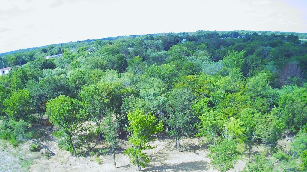 Picture 19