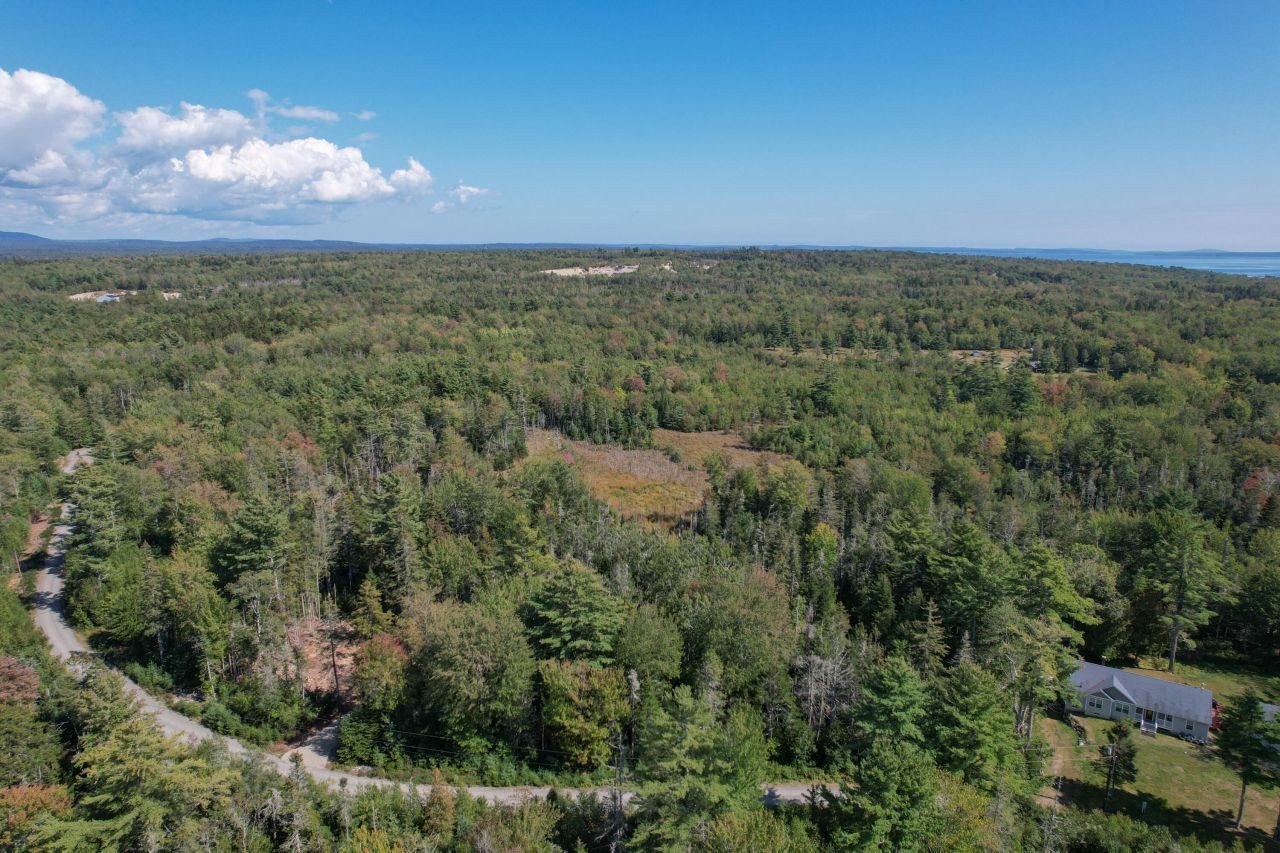 Wooded Lot Near Acadia Park