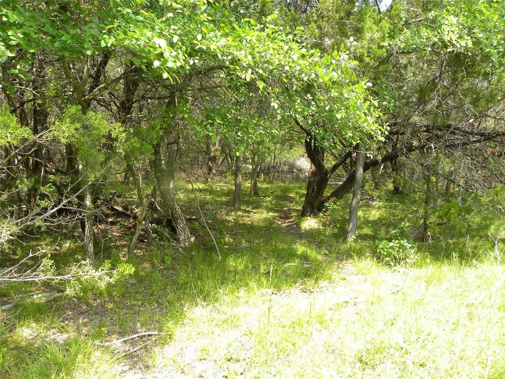 Picture 7