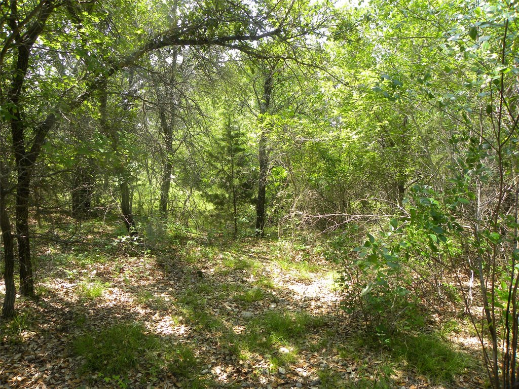 Picture 4