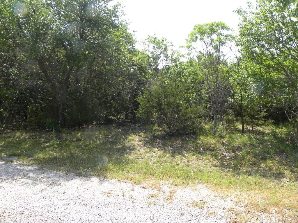 Picture 3