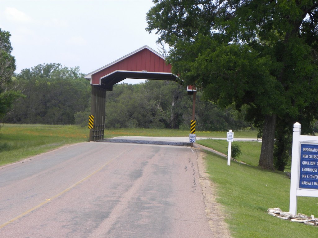 Picture 12