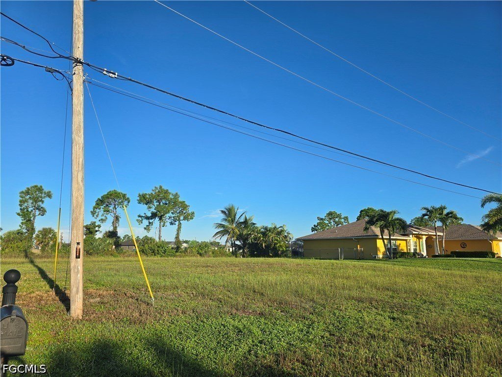 Picture 3