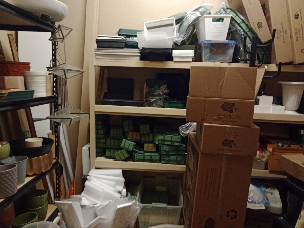 Picture 28