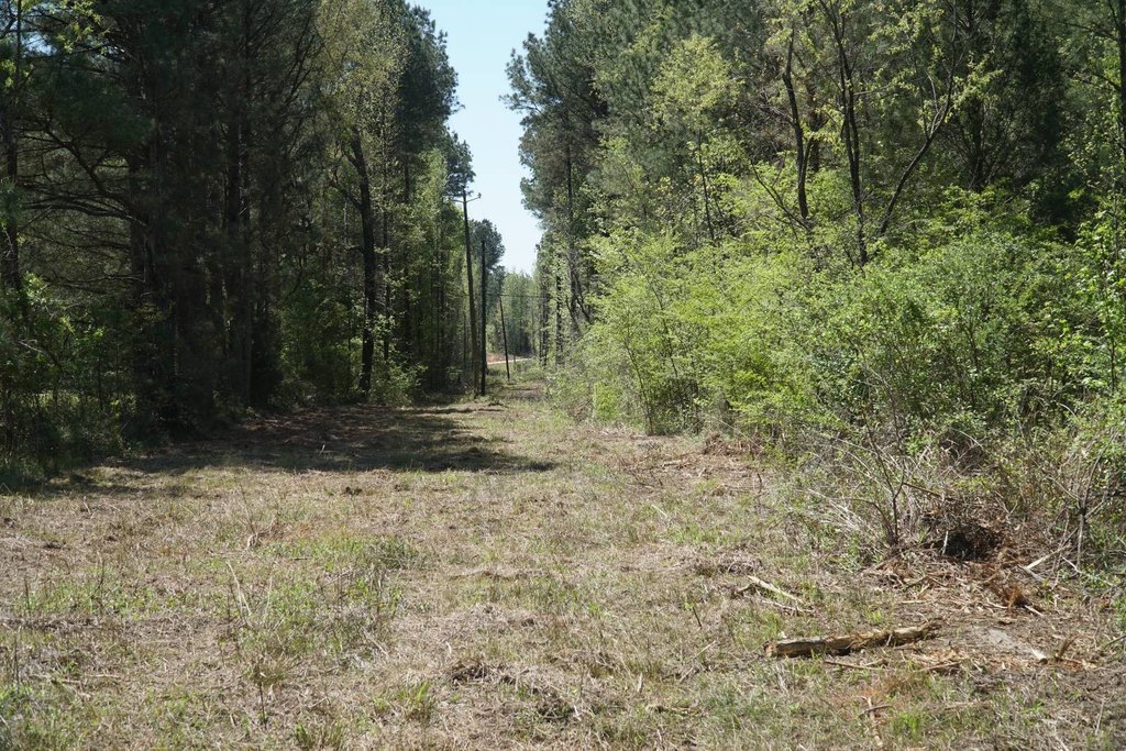 Picture 8