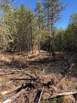 Land, Blanchard, ID
