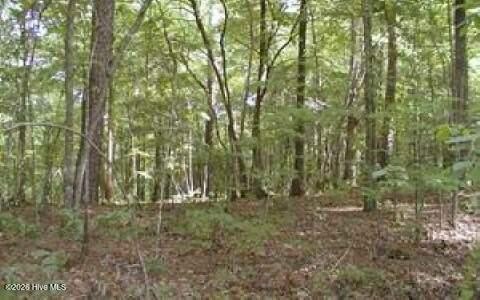 Land, Murphy, NC