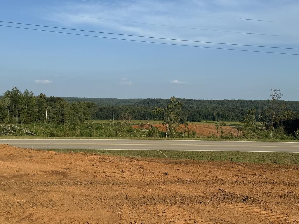 Picture 21