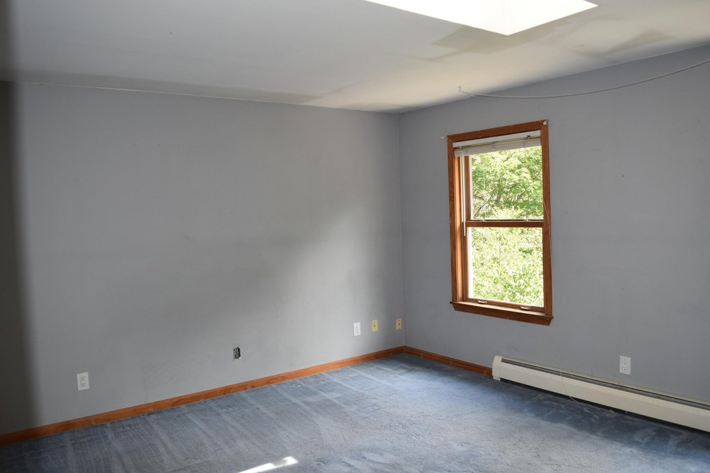Picture 41