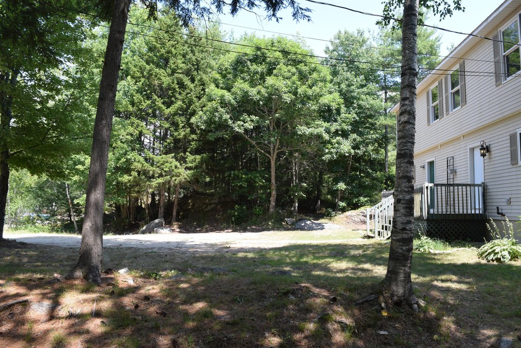 Picture 8