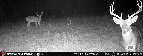 Hunter's Dream Land with River