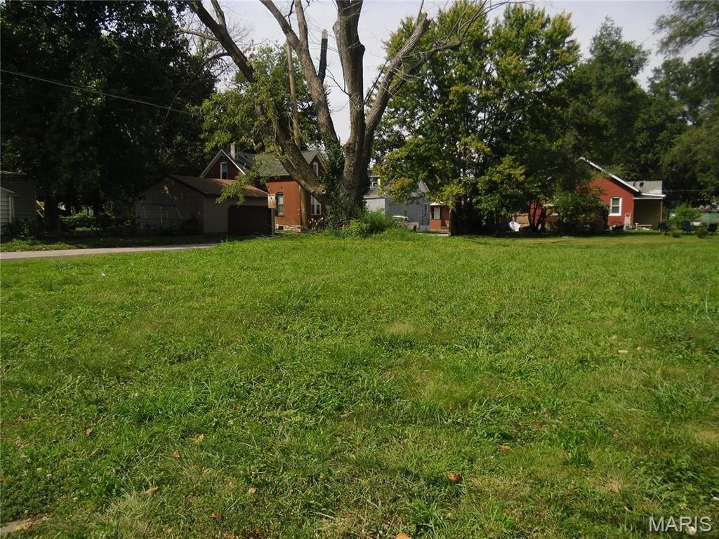Picture 6