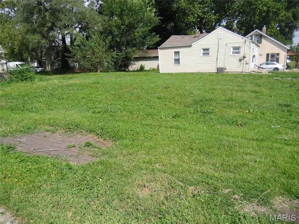 Picture 3