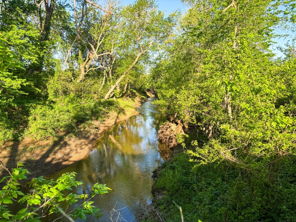 Picture 28