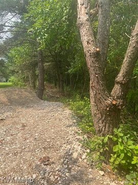 Secluded Wooded Land for Hunting