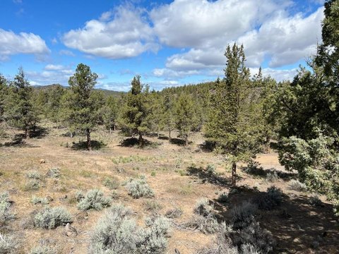 Residential Lot in Weed, CA