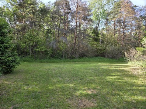 Wooded Recreational Building Site