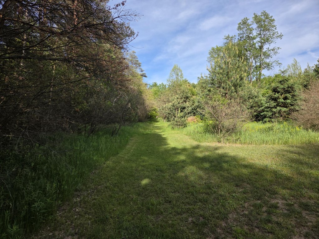 Picture 6