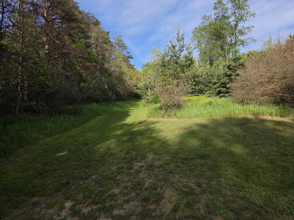 Picture 4