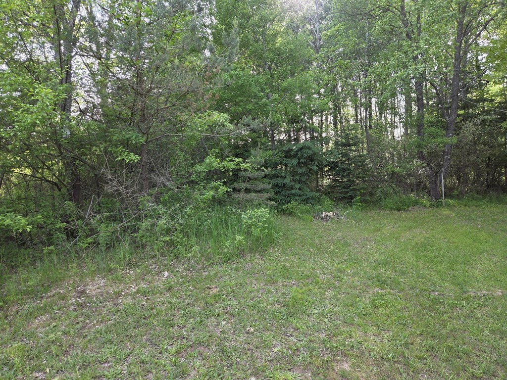 Picture 3