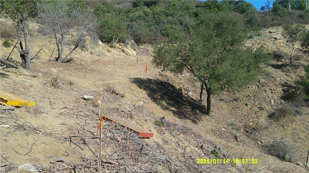 Picture 10