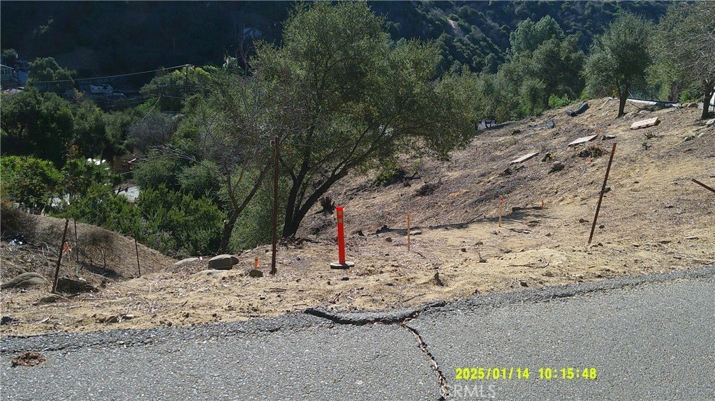 Picture 7