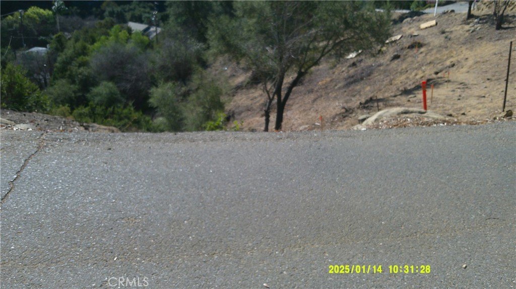 Picture 9