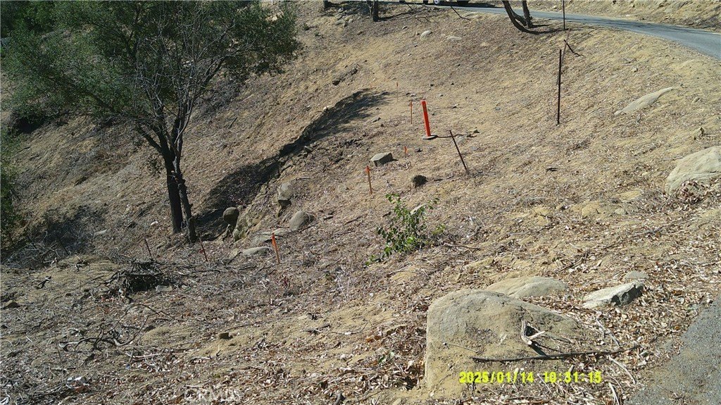 Picture 8