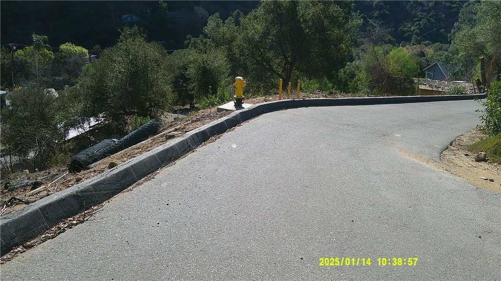 Picture 12
