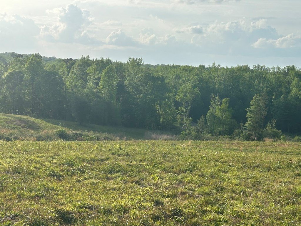 Picture 19