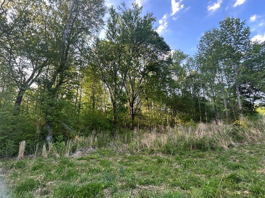 Picture 25