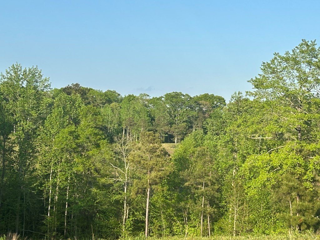 Picture 28