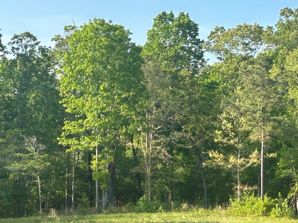 Picture 16