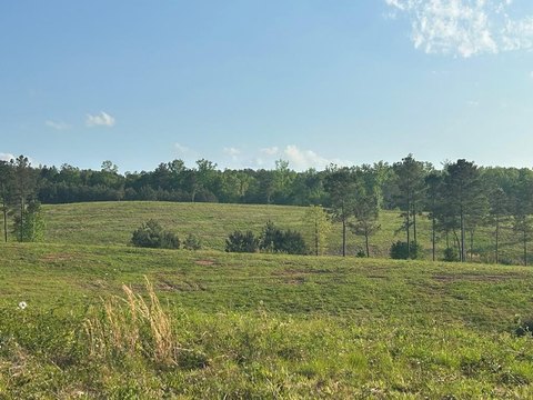 345 Acres in South Carroll