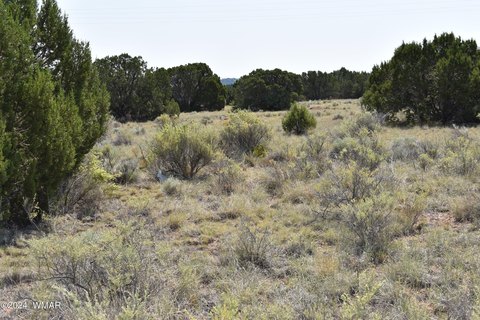 Land in Concho, Arizona