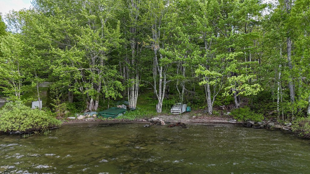 Picture 14