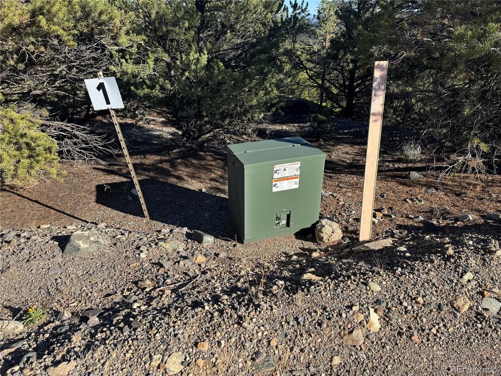 Picture 25