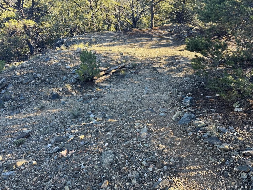 Picture 16