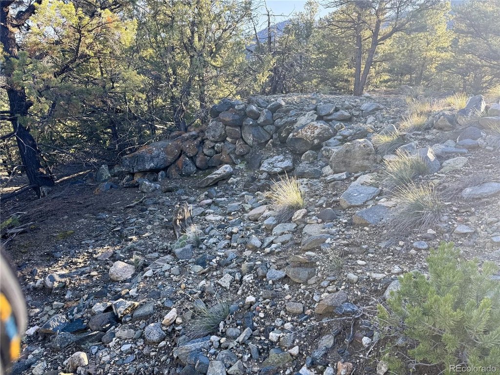 Picture 14