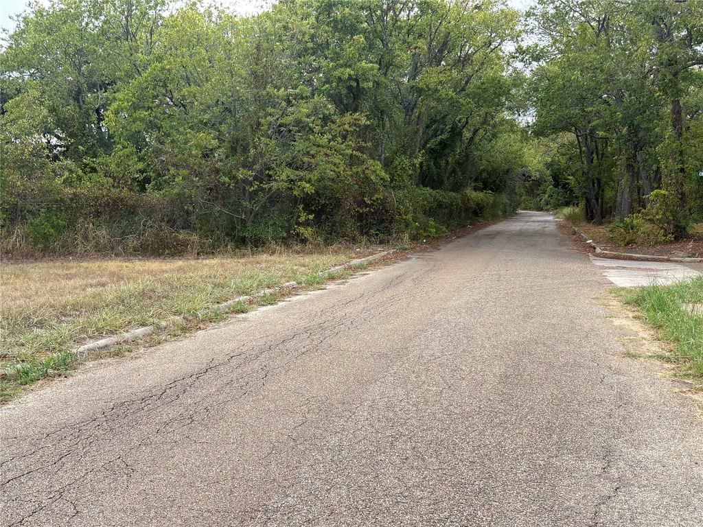 Picture 4